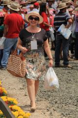 Blog da Gianne -